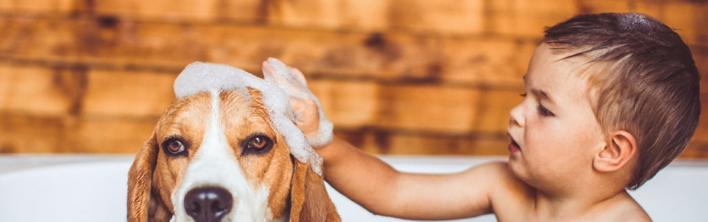 OFFREZ LE MEILLEUR &Agrave; VOS ANIMAUX DE COMPAGNIE
Pour des animaux de compagnie propres et heureux


D&eacute;couvrez les avantages de l'eau douce
