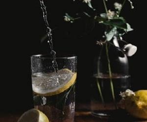 Six choses qu’un distributeur de traitement de l’eau peut faire pour améliorer votre eau