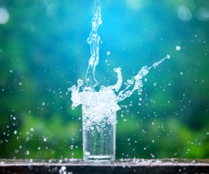 Restez hydraté grâce à un filtre à eau