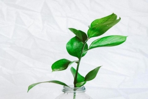 Réduisez votre empreinte carbone grâce à un adoucisseur d’eau